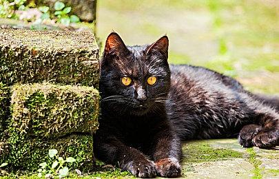 求虐得虐 《绝地潜兵2》开发者计划追加更高难度内容